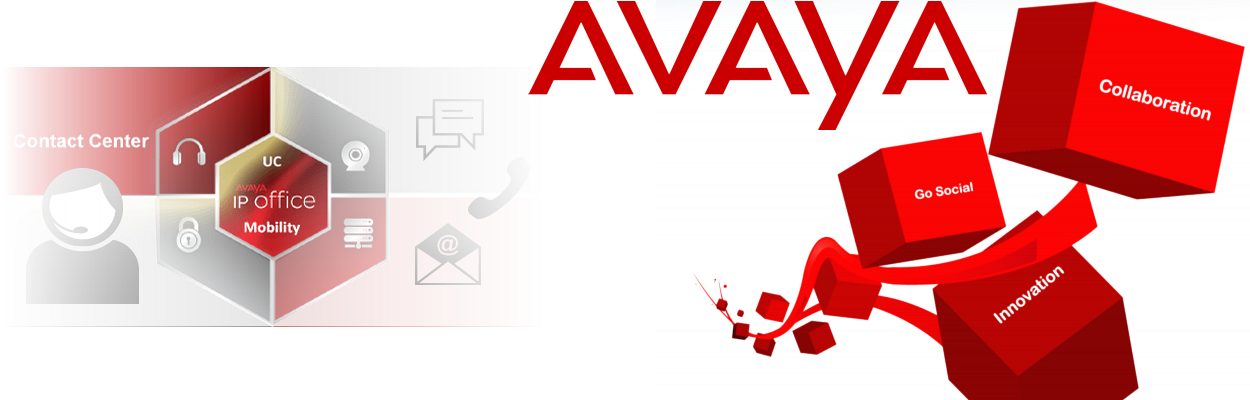 Avaya Distributor UAE