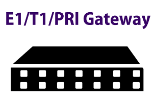 PRI-Gateway-Dubai-UAE